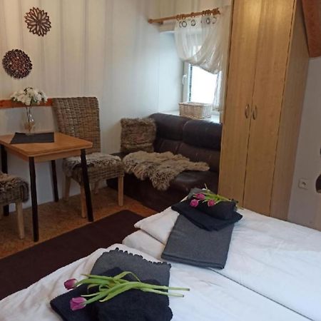 Apartmany Ziakova - Ubytovani Nove Hrady 111 Bagian luar foto