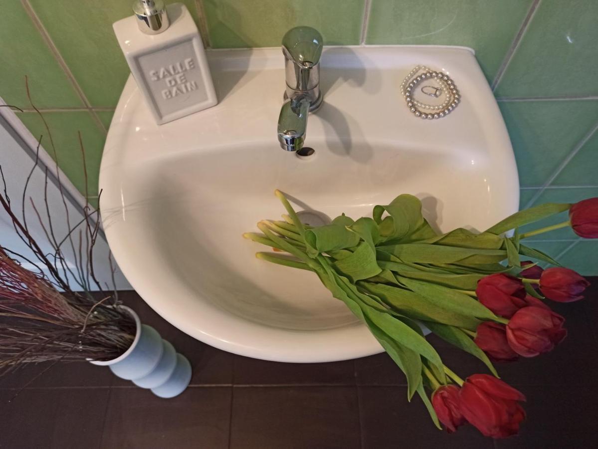 Apartmany Ziakova - Ubytovani Nove Hrady 111 Bagian luar foto