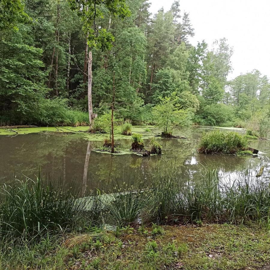 Apartmany Ziakova - Ubytovani Nove Hrady 111 Bagian luar foto