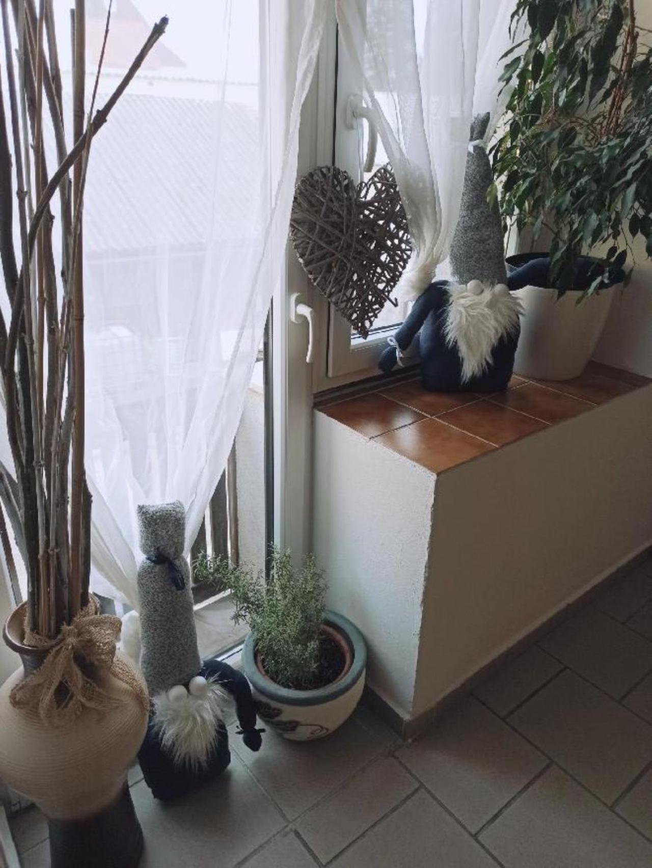 Apartmany Ziakova - Ubytovani Nove Hrady 111 Bagian luar foto